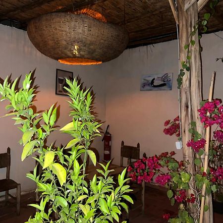 Riad Dar Lokman Marrakesch Exterior foto